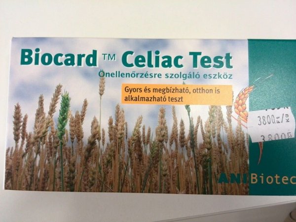 Laktózmetnes fakanál Mester család Dandár 05