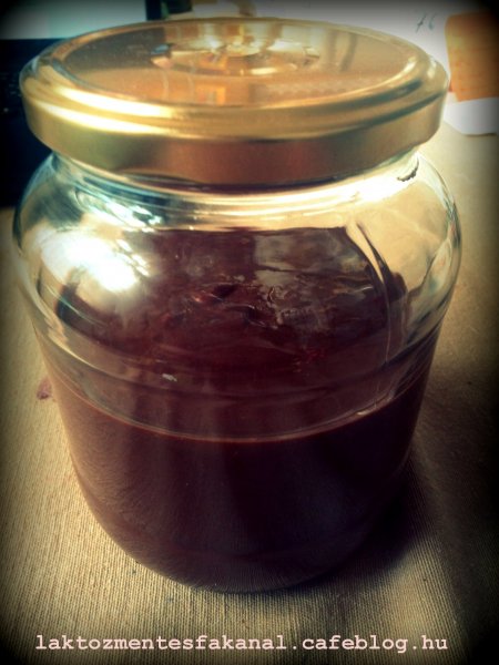 Laktózmentes fakanál Tejmentes Nutella 02.