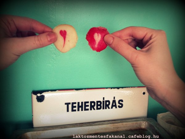 Laktózmentes Fakanál Gluténmentes laktózmentes tejfehérjementes tejmentes szerecsesüti 091