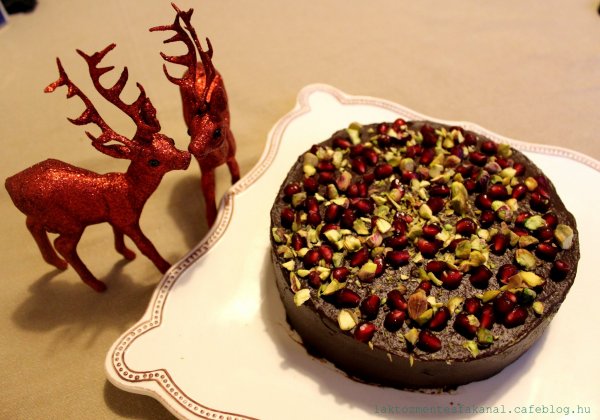 Laktózmentes fakanál tejmentes gluténmentes csokitorta gránátalmával és pisztáciával 02