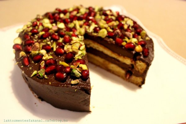 Laktózmentes fakanál tejmentes gluténmentes csokitorta gránátalmával és pisztáciával 03